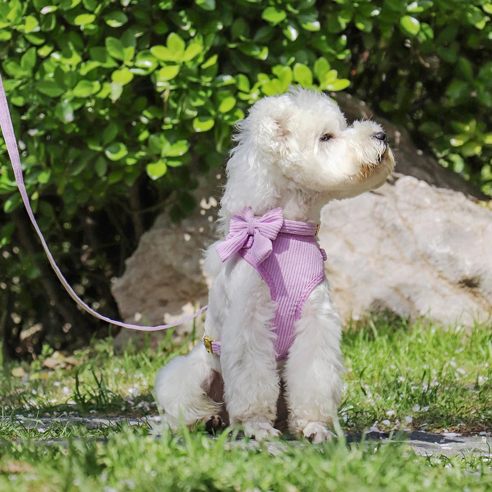 Dog Harness Leash Set, Soft Adjustable Harness & Collar for Small Dogs