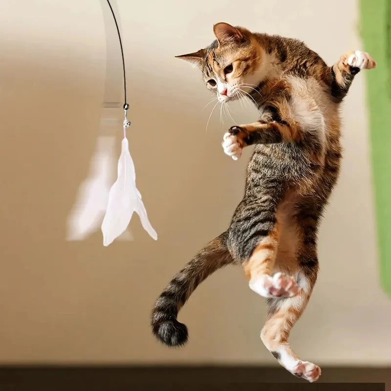 Cat Teaser Toy – Interactive Feather Wand with Bell & Suction Cup