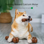 Dog Bone Chew Toy – Wooden Puppy Toy for Small to Large Dogs