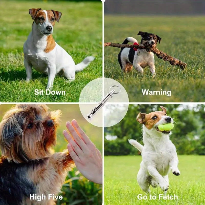 Adjustable Dog Whistle for Training & Recall
