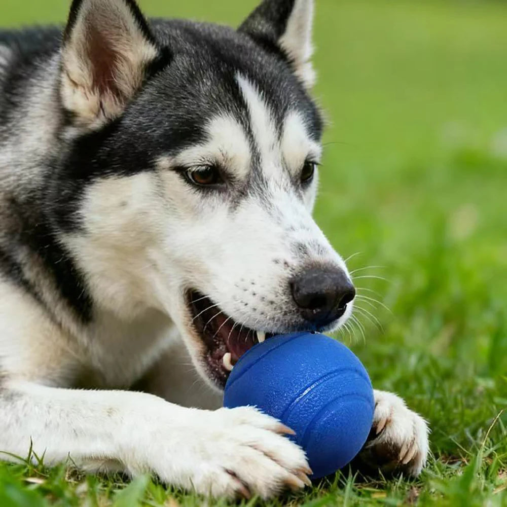 Dog Toy Ball – Rubber Training Ball for Outdoor Play