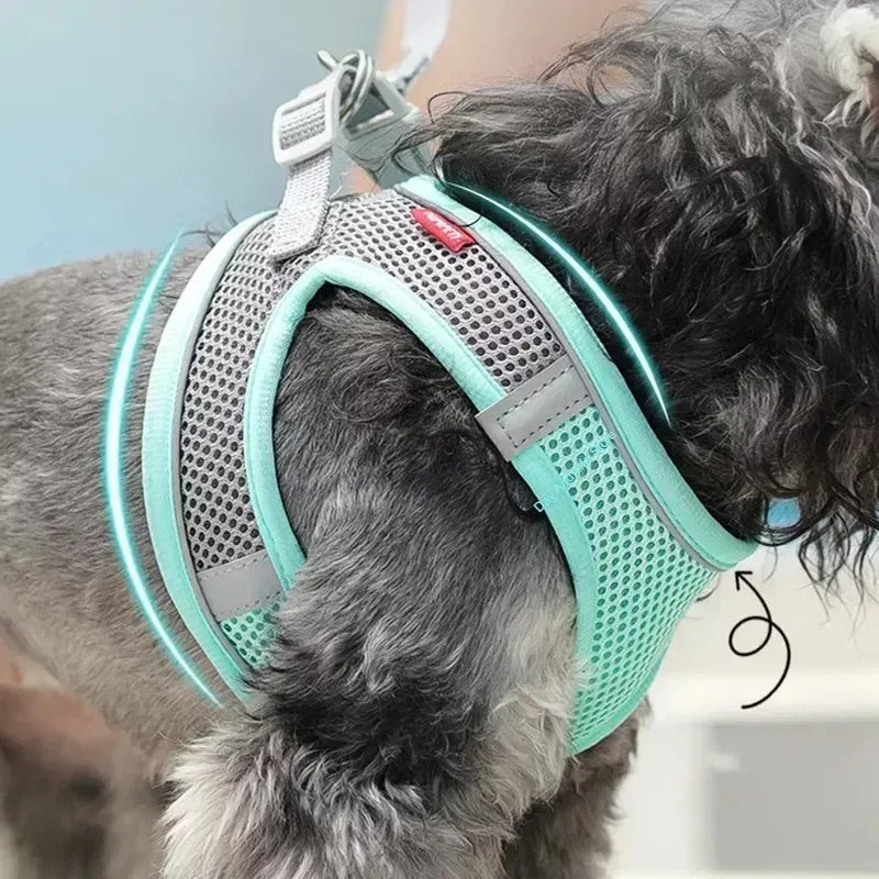 Small Dog Harness – Adjustable Reflective Vest With Leash
