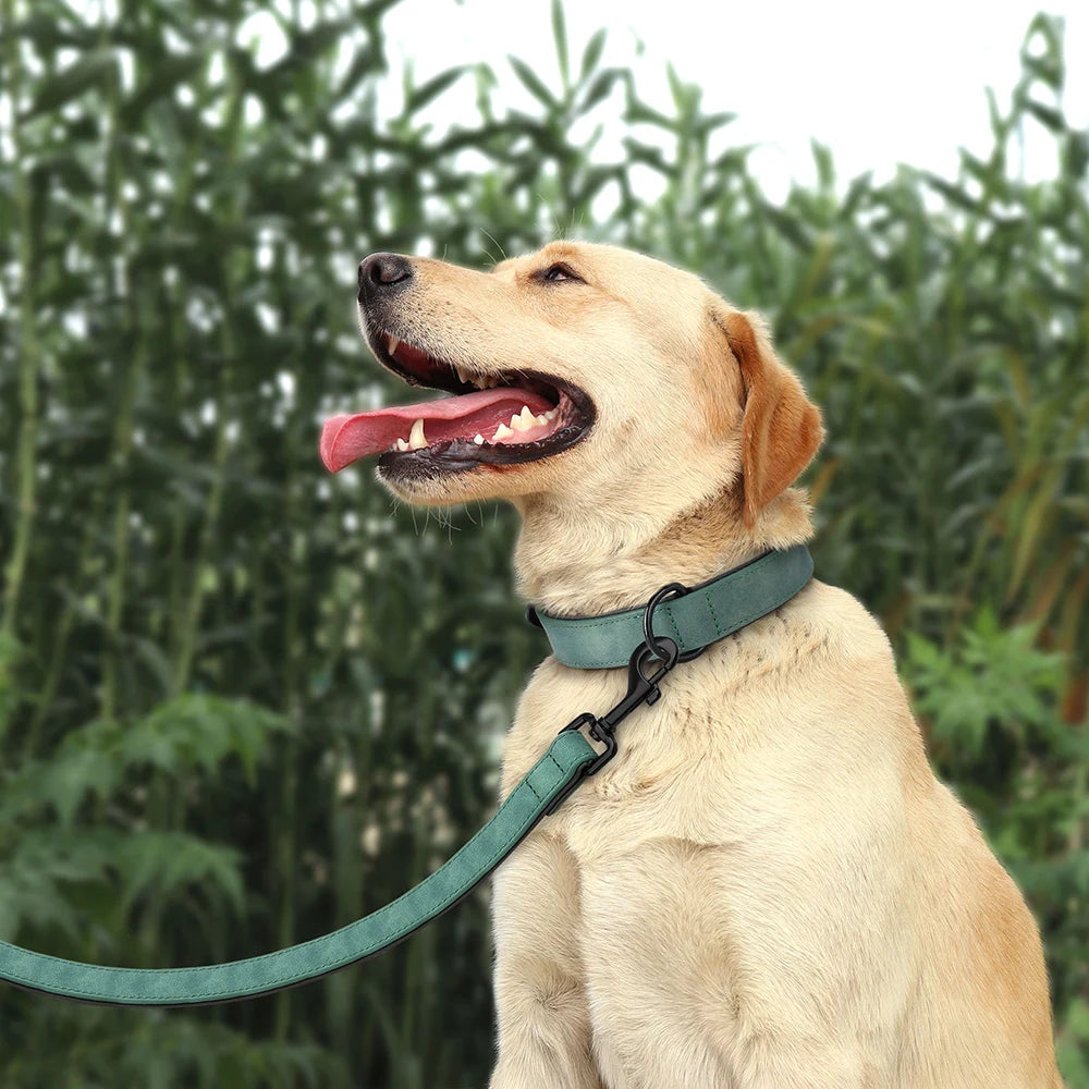 PU Leather Dog Collar and Leash Set, Adjustable Padded