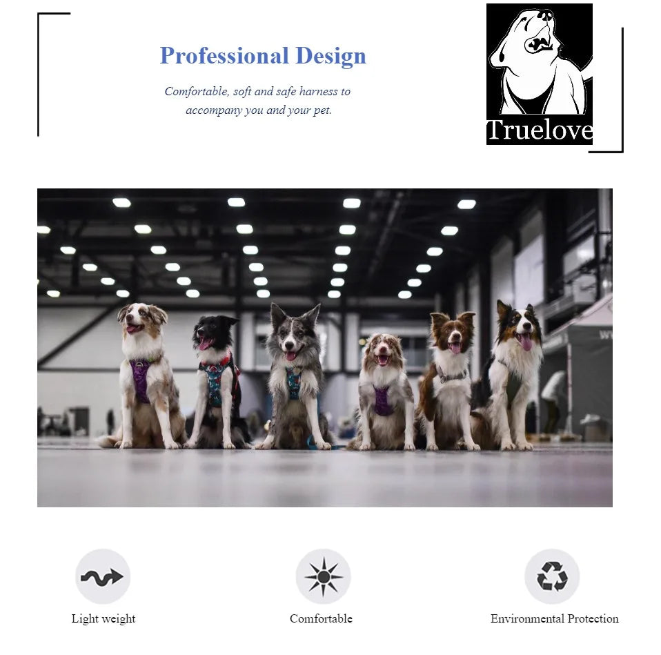 Reflective Dog Harness – Padded Outdoor Vest for All Sizes