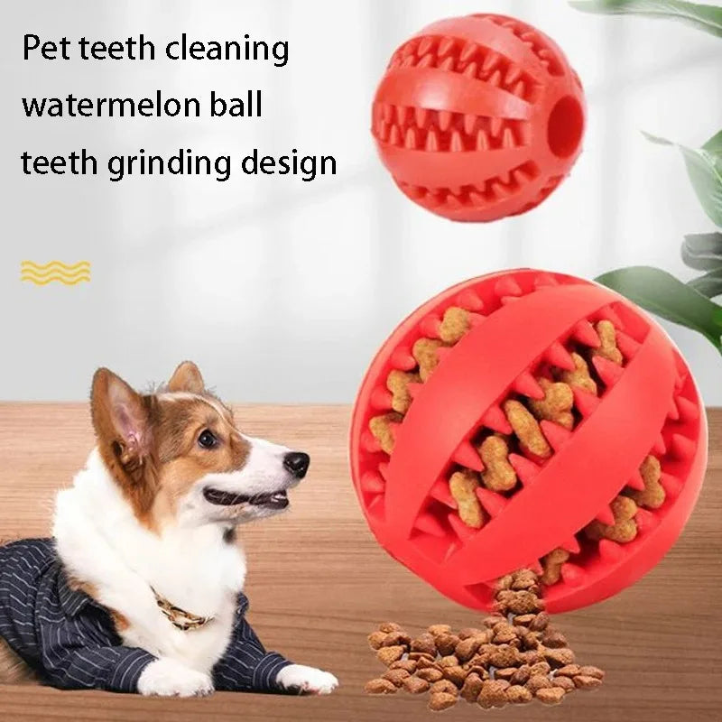 Dog Chew Ball – Natural Rubber Treat & Interactive Toy