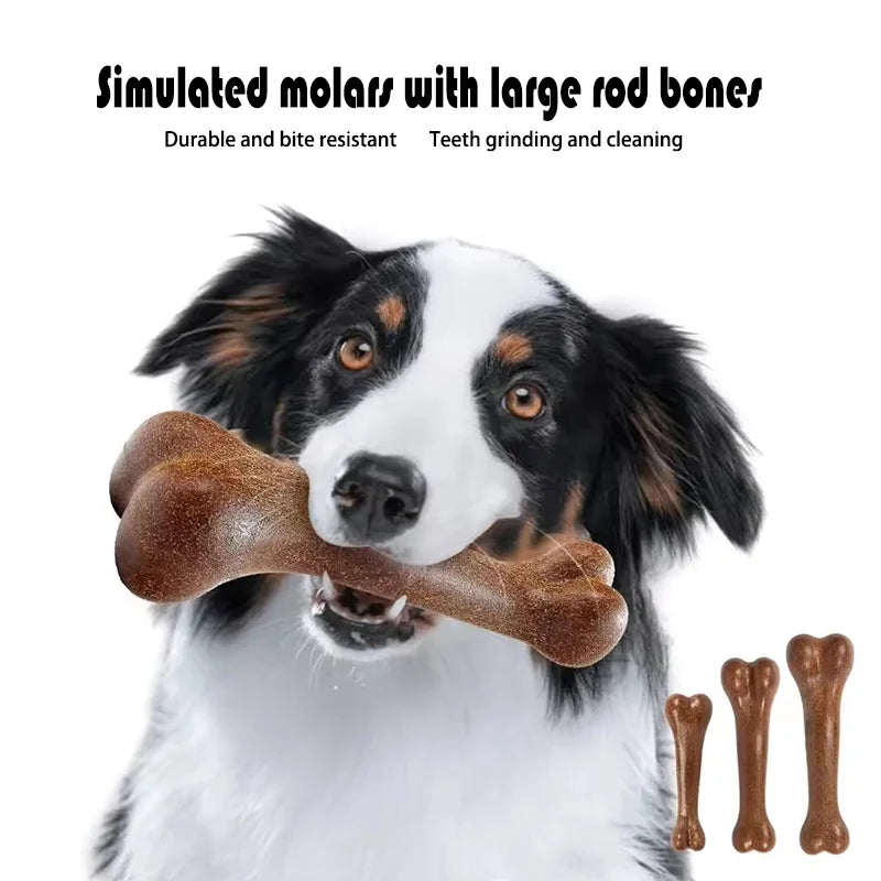 Dog Chew Toy