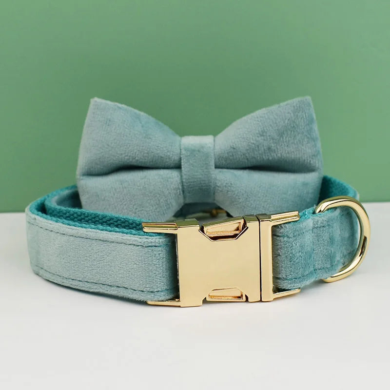 Dog Collar and Leash Set, Adjustable Velvet Collar with Gold Detail