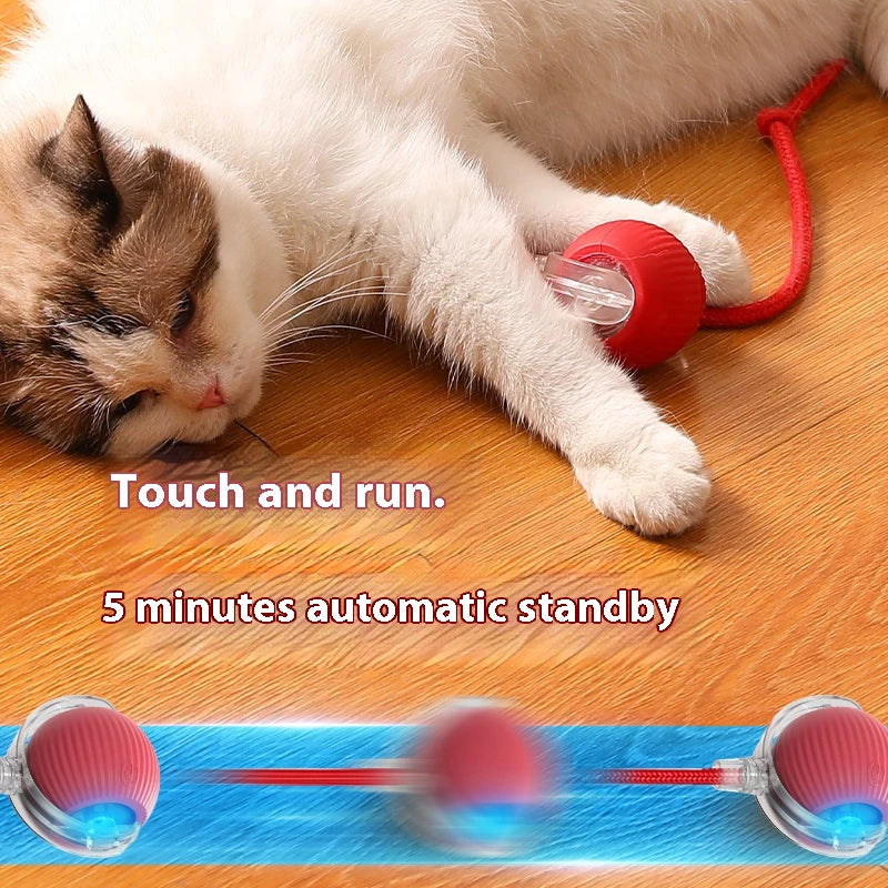 Automatic Cat Ball Toy – Rechargeable Interactive Rolling Ball