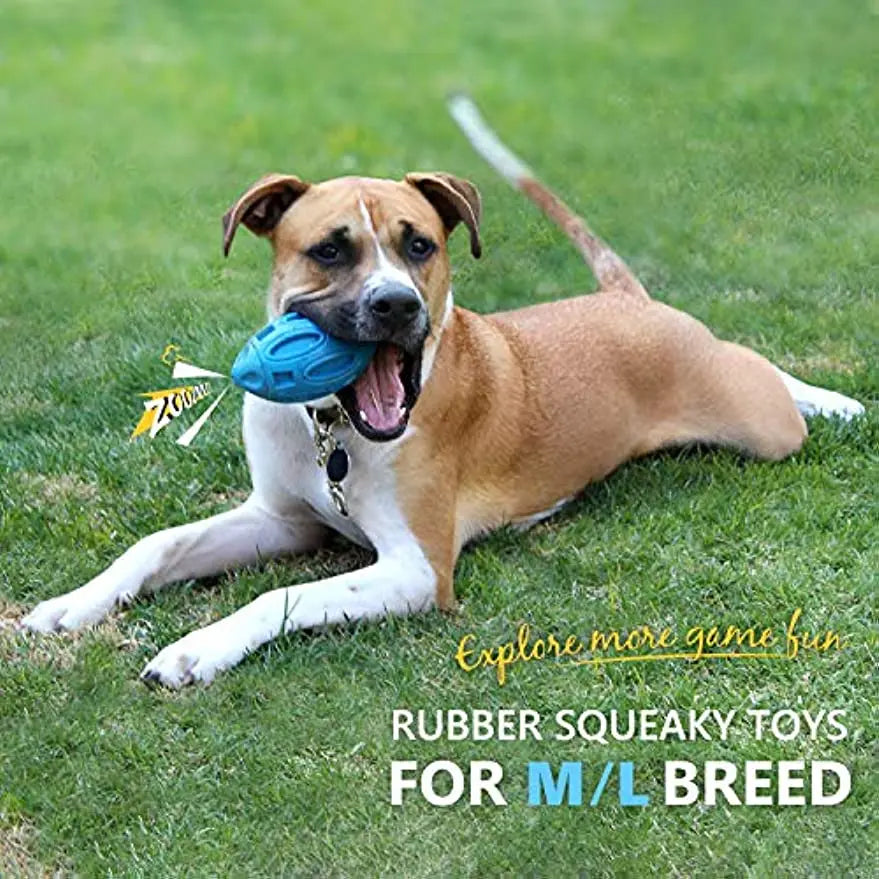 Rubber Dog Chew Ball – Squeaky Toy for Medium & Large Dogs