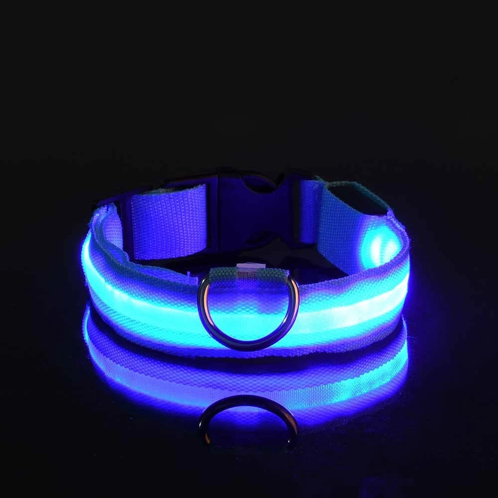 LED Dog Leash Nylon Light Up Glow Night Safety Collar