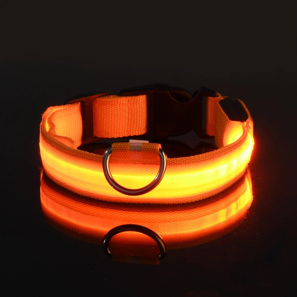 LED Dog Leash, Light-Up Nylon Safety Leash for Night Walking