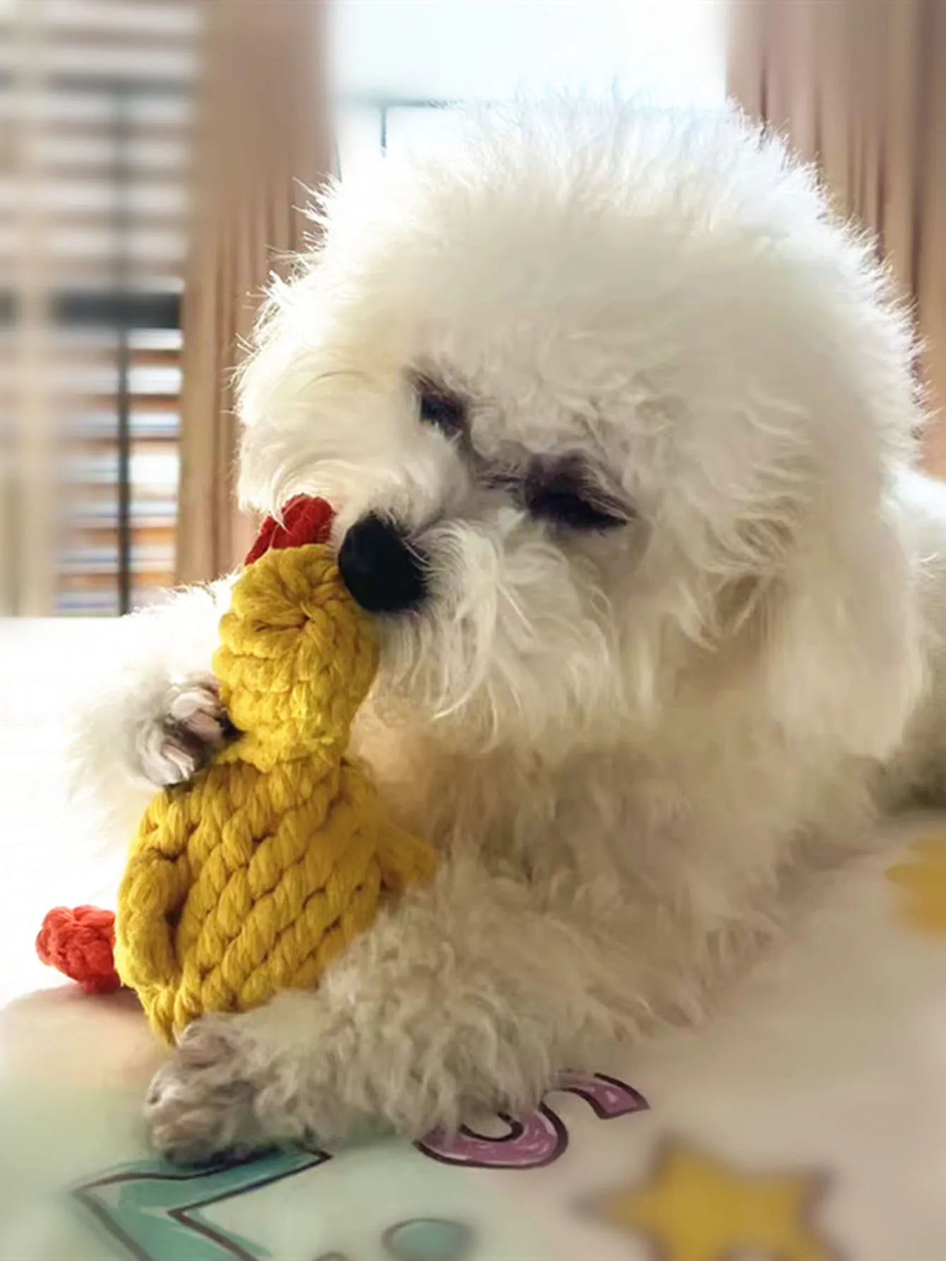 Rope Dog Toy – Knotted Cotton Chew Toy for Small & Medium Dogs