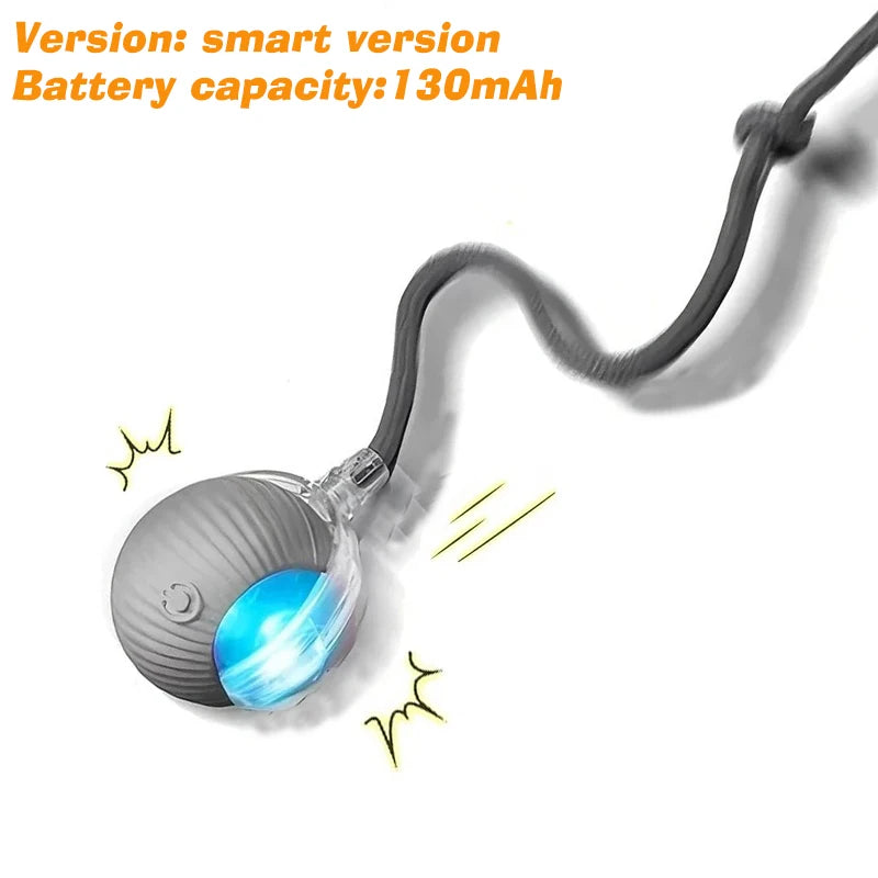 Automatic Dog Ball, Rechargeable Interactive Toy for Dogs