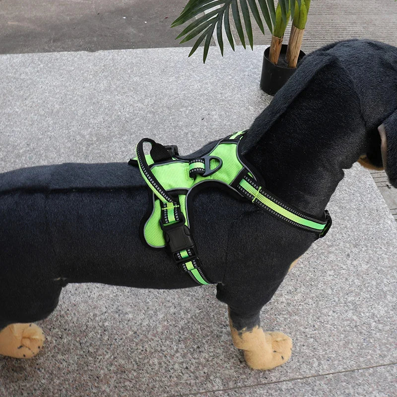 Reflective Dog Harness, Adjustable Nylon Vest with Leash