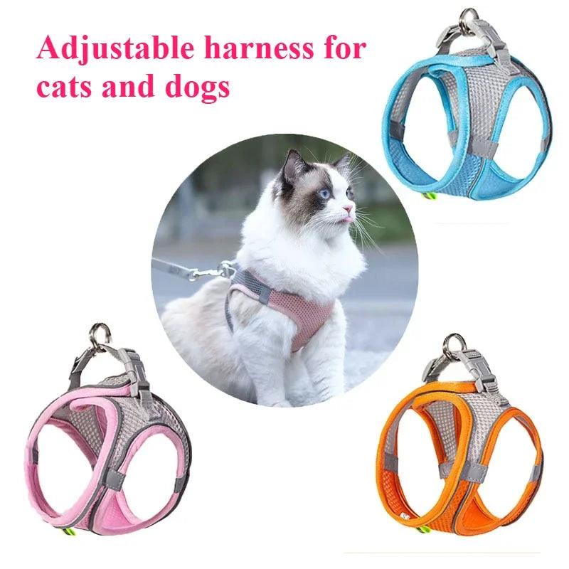 Cat Muzzle for Grooming, Anti-Bite Cover with 4 Paw Shoes
