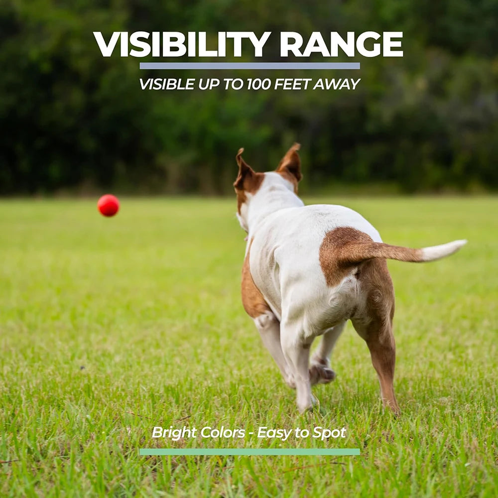 Rubber Dog Ball – Elastic Outdoor Training & Play Toy