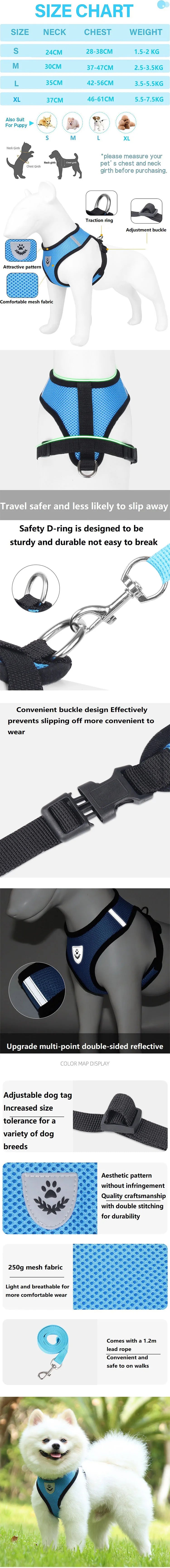 Cat Harness and Leash – Reflective Quick Release Walking Set