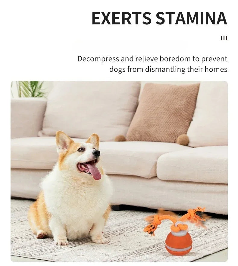 Interactive Dog Ball – Motion Activated Rolling Toy for Dogs
