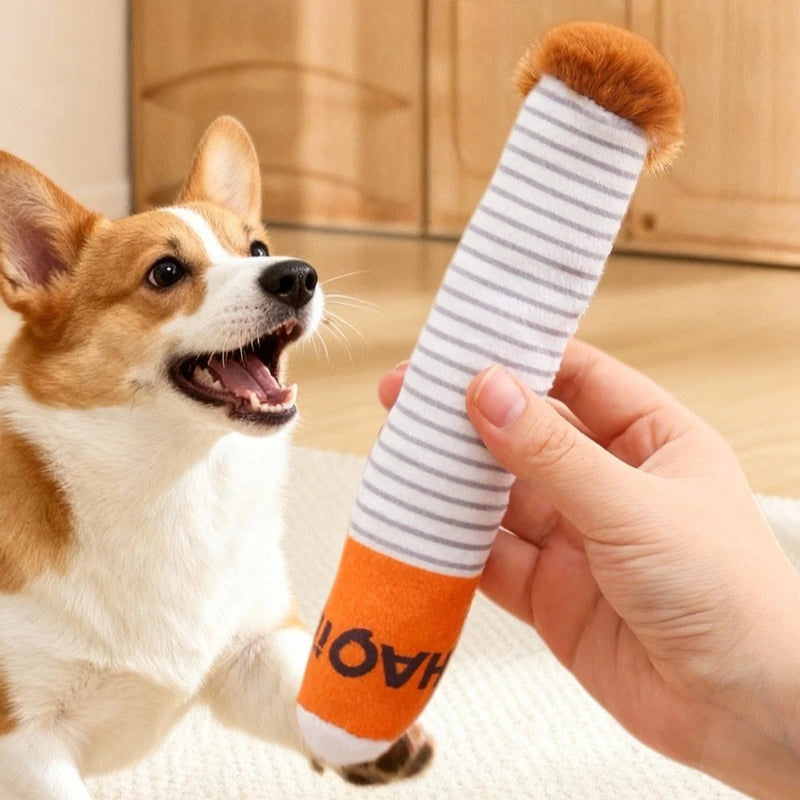 Squeaky Dog Toy Plush Interactive Chew Toy for Dogs