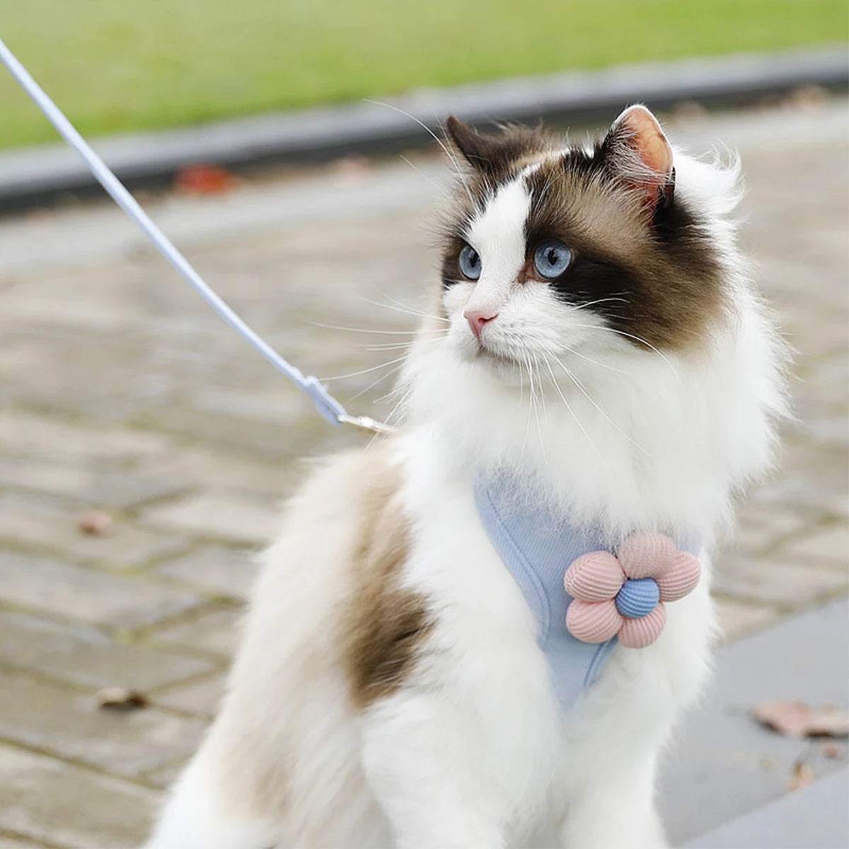 Cat Harness and Leash Set Adjustable Breathable Kitten Harness