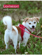 Dog Harness and Leash Set, Adjustable Reflective Puppy Vest