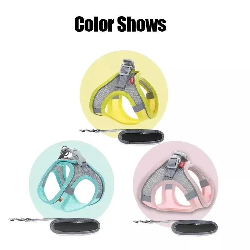 A comfortable, adjustable harness with reflective detailing for everyday pet walks.