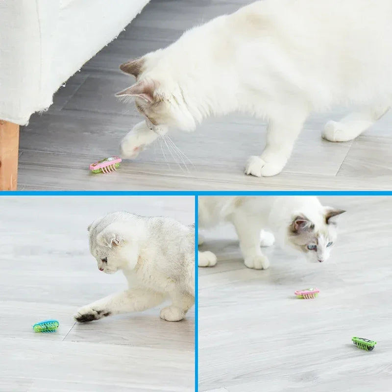 Automatic Cat Toy – Moving Bug Interactive Chase Toy