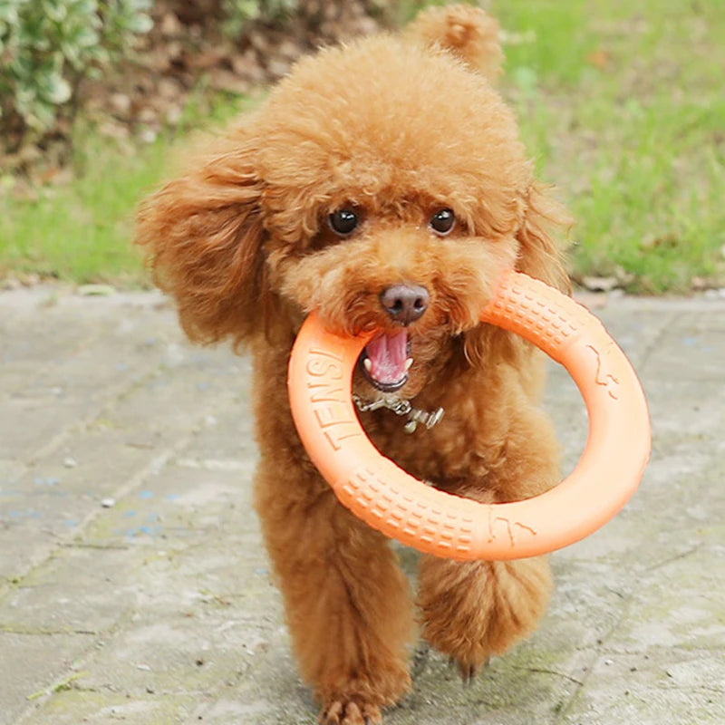 Dog Flying Disc – EVA Interactive Fetch & Training Toy for Dogs