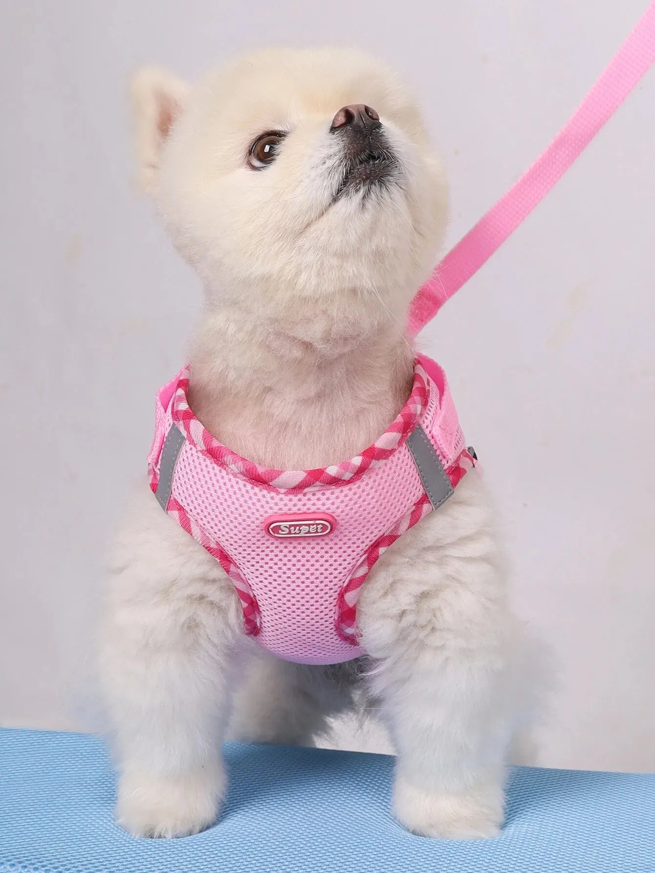 Dog Harness – Adjustable Anti-Pull Harness for Small & Medium Dogs