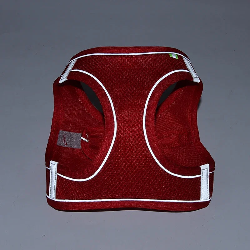 Small Dog Harness – Adjustable Reflective Vest With Leash
