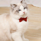 Adjustable Cat Collar – Tie for Everyday Wear