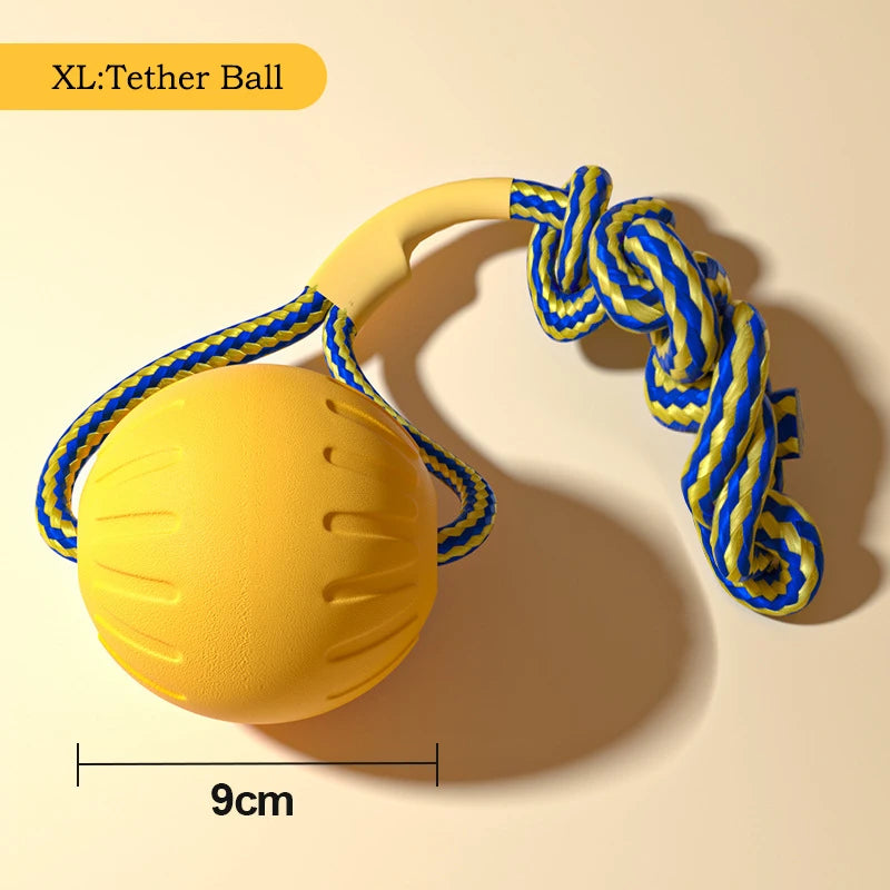 Dog Toy Set – EVA Ball, Flying Disc & Tug Rope