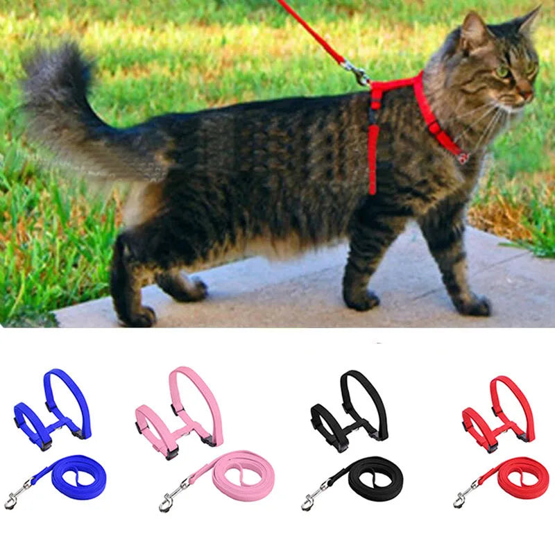 Adjustable Cat Collar – Breakaway Nylon Collar for Kittens & Cats