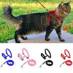 Adjustable Cat Collar – Cozy Nylon Breakaway Collar