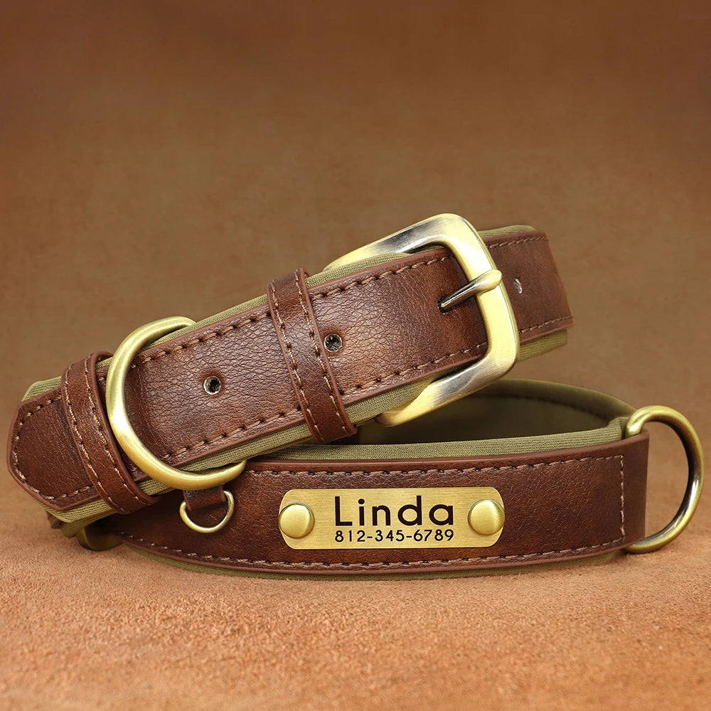 Personalized Dog Collar, Adjustable Padded PU Leather Collar