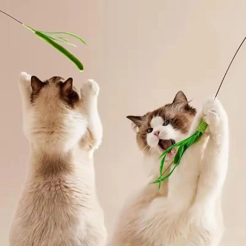 Feather Cat Wand – Flexible Interactive Teaser Toy for Cats