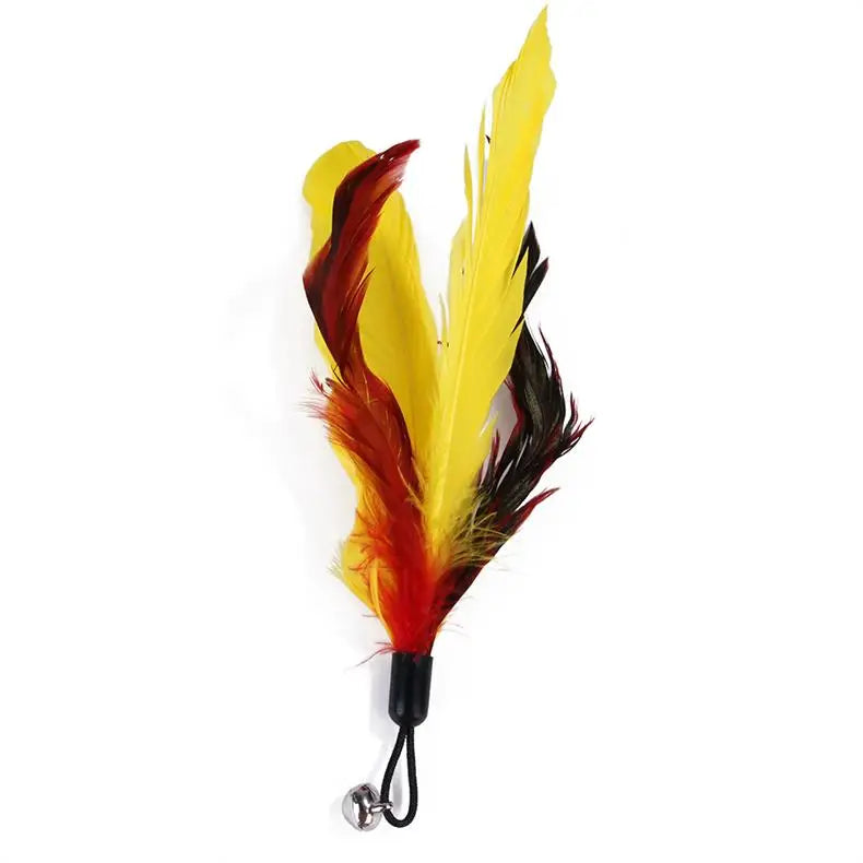 Cat Feather Wand Toy – 11 Piece Retractable Teaser Set
