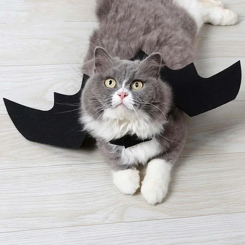 Bat Wing Cat Costume – Black Halloween Pet Cosplay Outfit