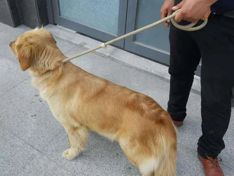 Slip Rope Dog Leash – Adjustable Braided Training Lead for Large Dogs