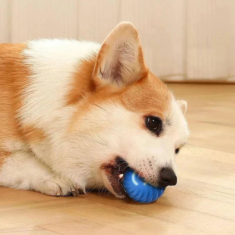 Interactive Dog Ball – USB Rechargeable Automatic Moving Toy