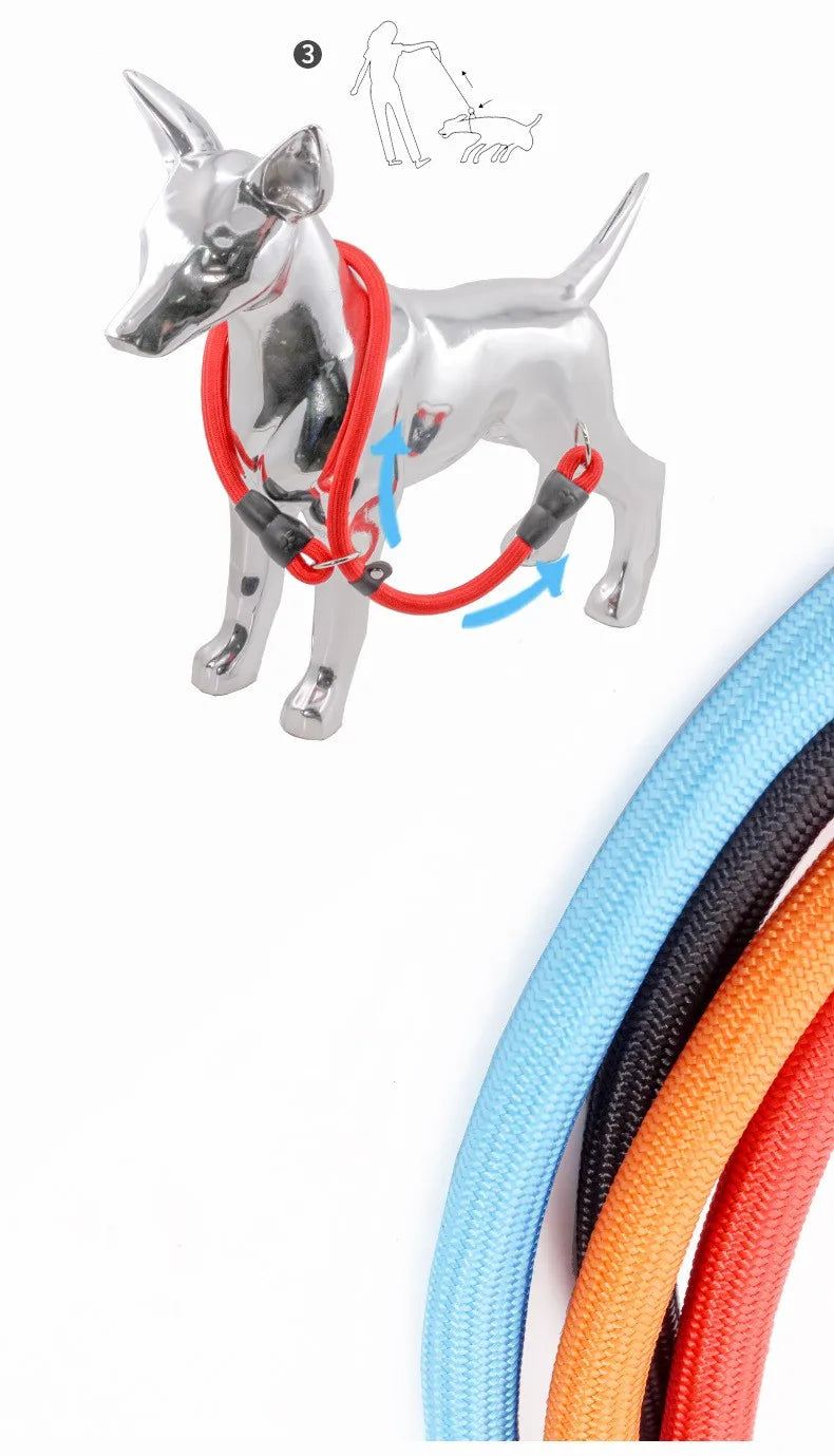 Dog Training Collar – Adjustable Nylon Collar for Walking & Training