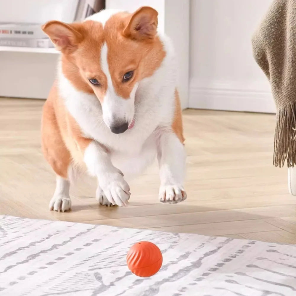Interactive Dog Ball Toy – Automatic Moving Rechargeable Toy