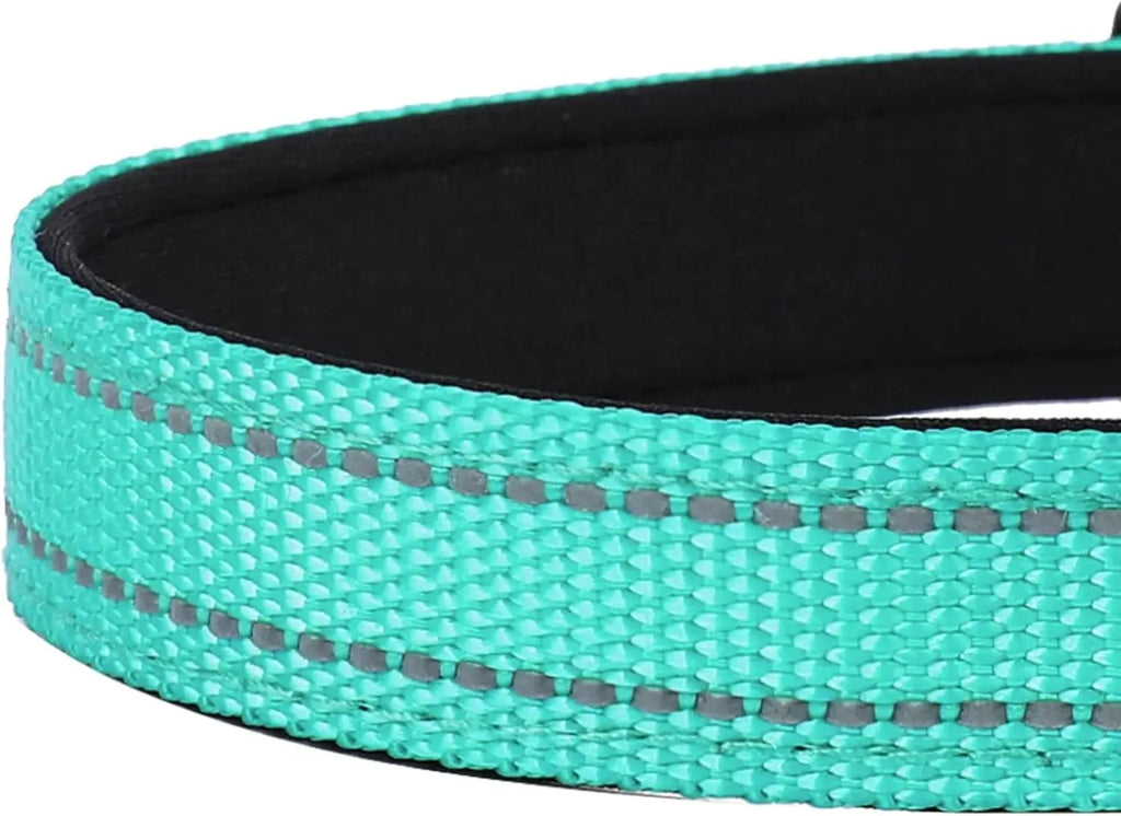 Adjustable Dog Collar – Soft Padded Nylon Quick Release
