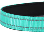 Adjustable Dog Collar, Soft Padded Nylon Collar with Buckle