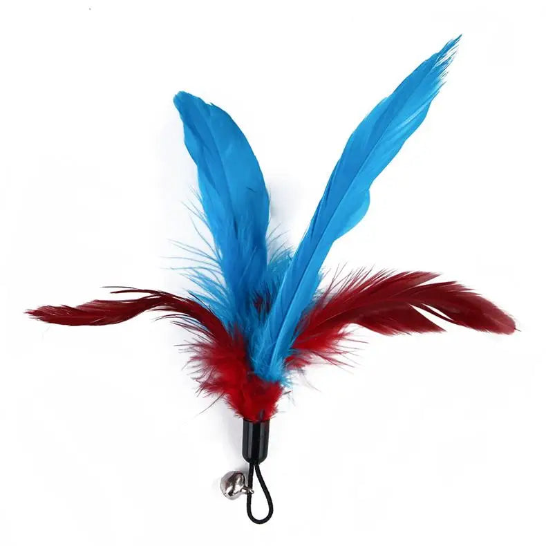 Cat Feather Wand Toy – 11 Piece Retractable Teaser Set
