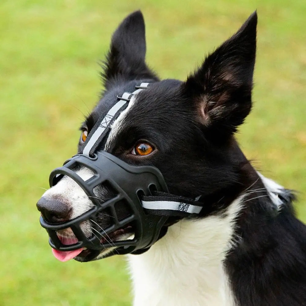 Adjustable Dog Muzzle with Reflective Strip for Drinking