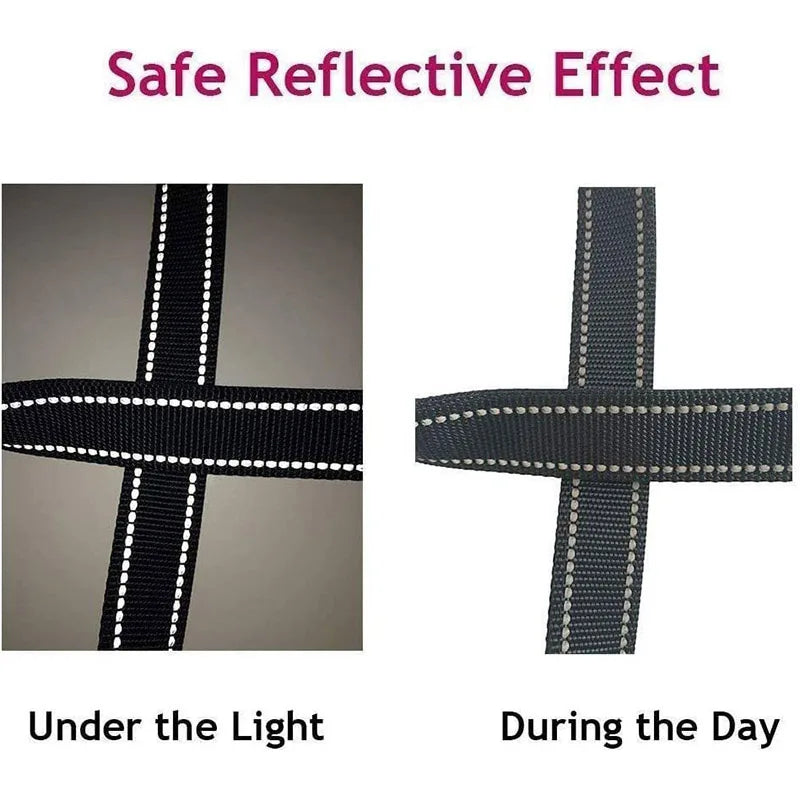 Reflective Dog Leash – Nylon Night Walking & Training Lead