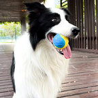 Interactive Dog Toy – Squeaky Ball for Teeth Cleaning