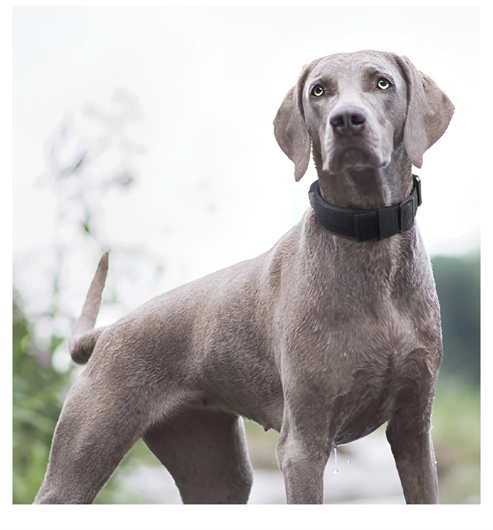 Tactical Dog Collar for Medium & Large Dogs, Padded Adjustable