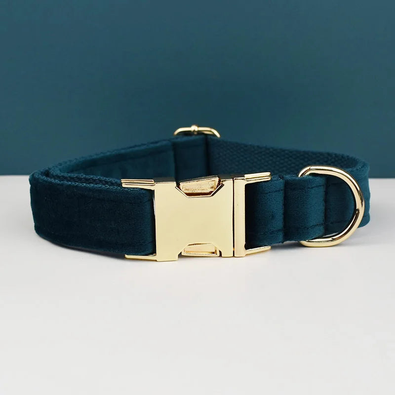 Dog Collar and Leash Set, Adjustable Velvet Collar with Gold Detail